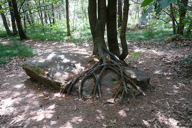 Menhir2.jpg