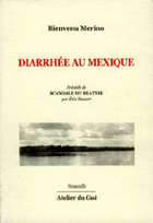 Diarrhée au Mexique