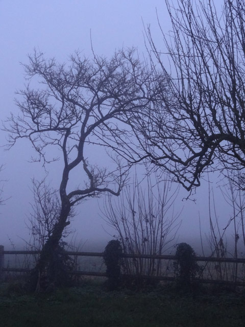 Brume.