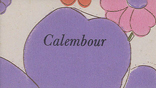 Calembour n° 31