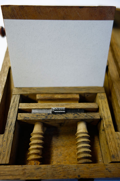 Presse jouet en bois. PresseJouetPlianteBois5.jpg