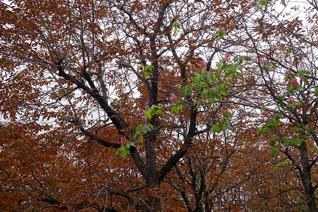 Couleur03.jpg