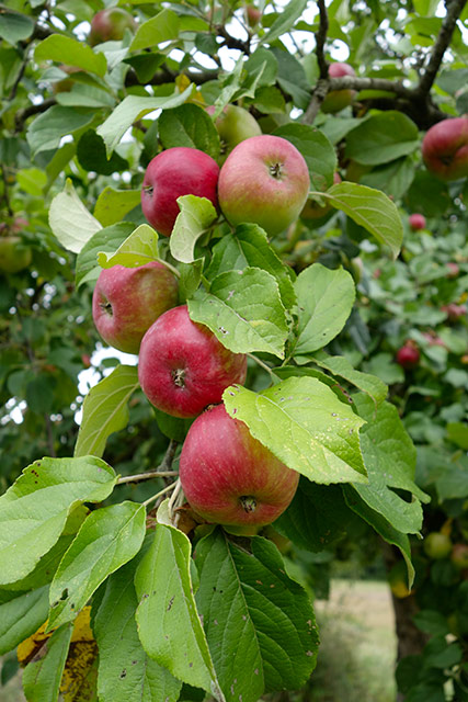 Couleur04.jpg