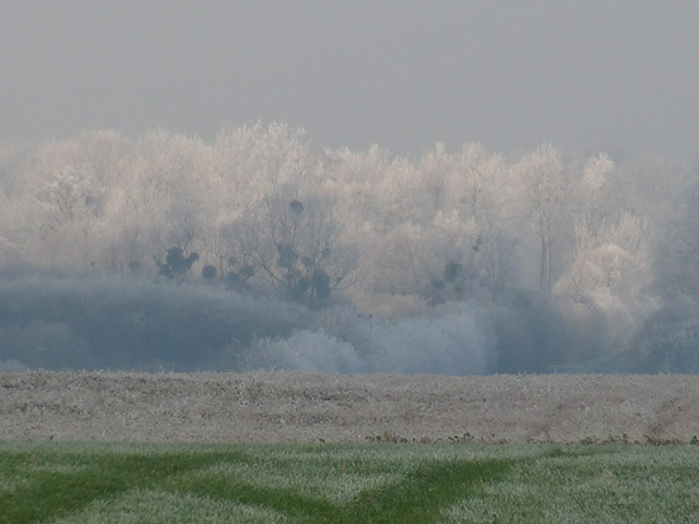 Couleur11.jpg