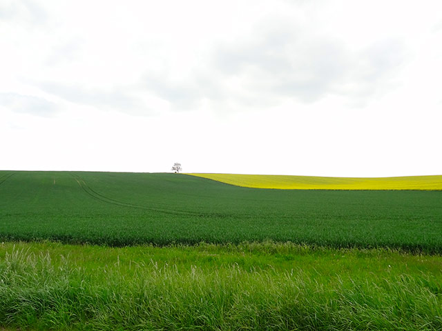Couleur16.jpg